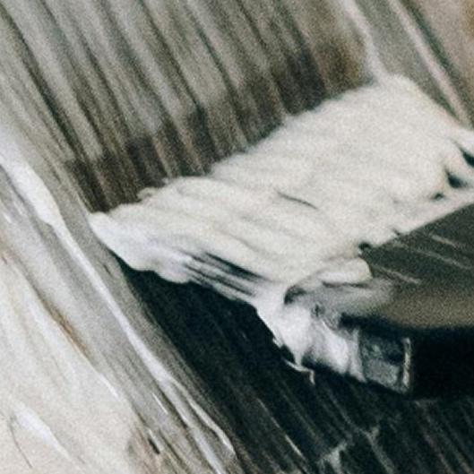 All over Color membership 